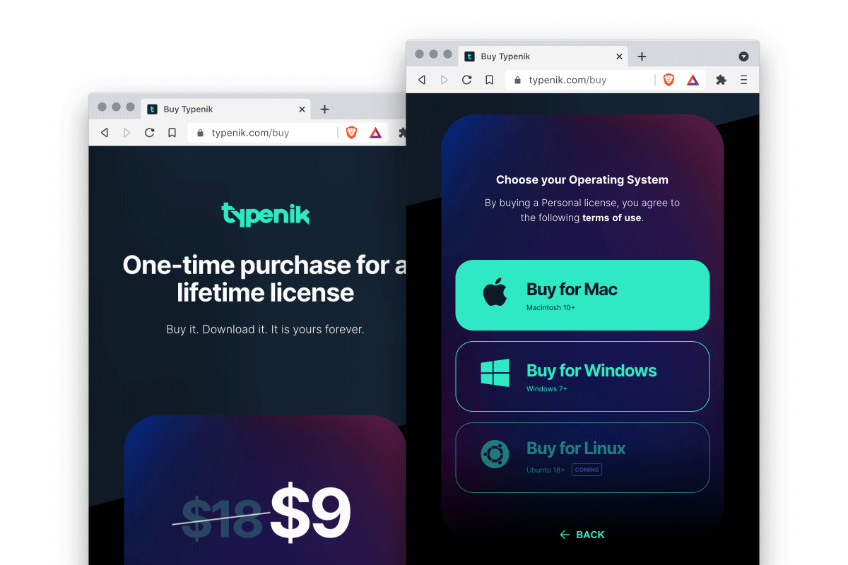 Typenik's checkout page